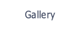 Gallery.