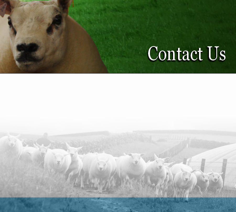 Contact Us