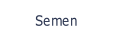 Semen.